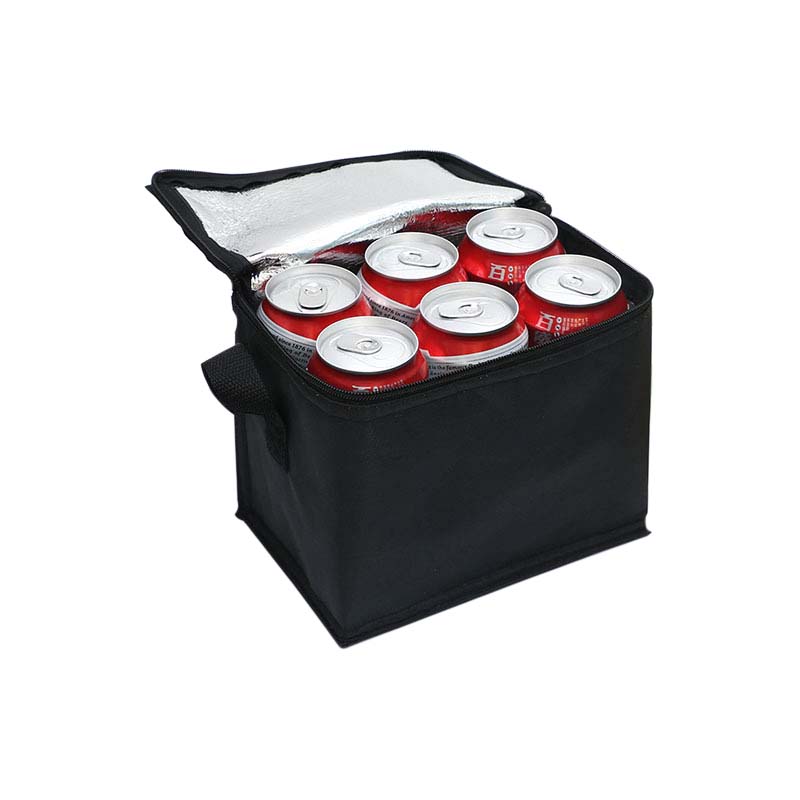 6-Pack Insulated Cooler Bag-20251124