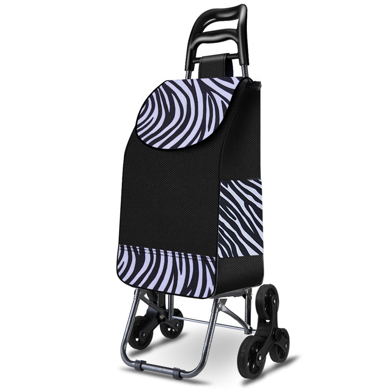 20240609-Trolly Bag